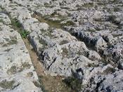 mdina25.JPG