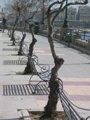 valletta32.JPG