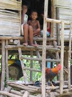 left click for larger picture